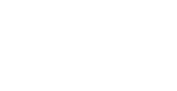 3 Seagulls